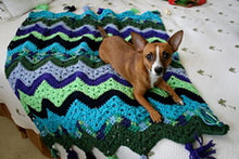 Load image into Gallery viewer, ULTIMATE 6-Day Blanket Bundle - Six Classic Crochet Patterns by Betty McKnit
