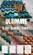 Load image into Gallery viewer, ULTIMATE 6-Day Blanket Bundle - Six Classic Crochet Patterns by Betty McKnit
